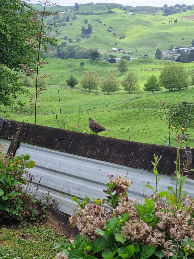 Raven'S Rest Hotel Te Kuiti Esterno foto